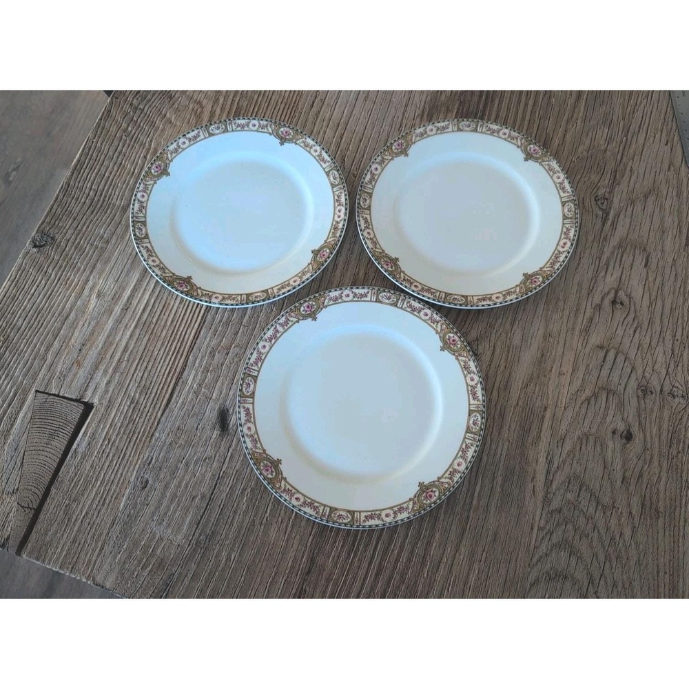 Vintage Theodore Haviland Limoges France Belfort Salad Dessert Bread Plate 3 Pcs